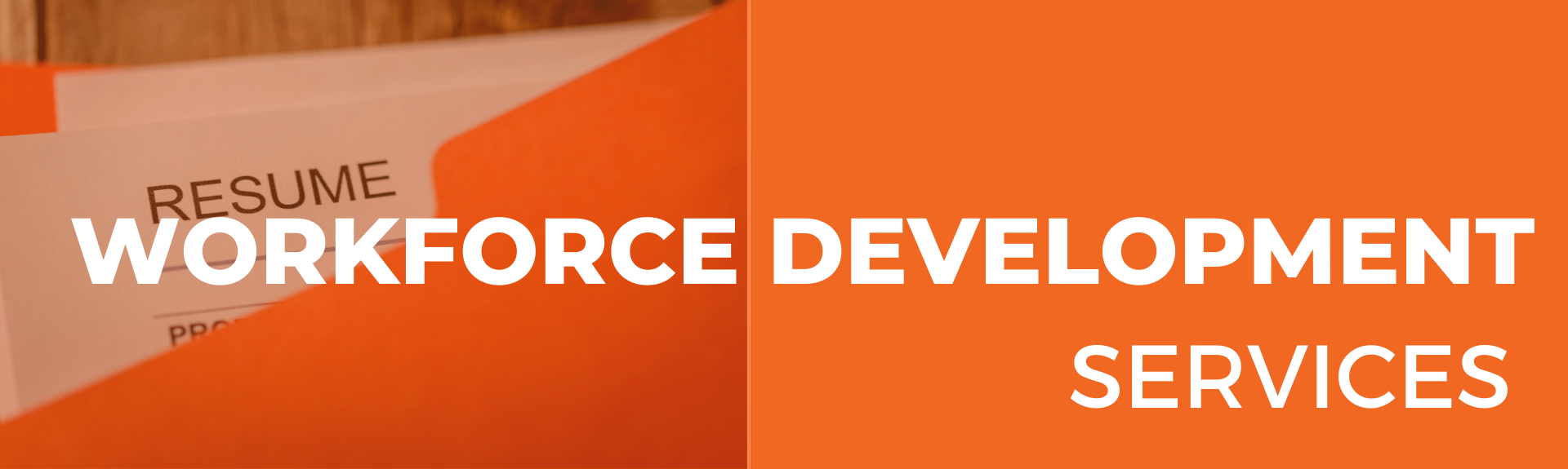 Workforce Development Services